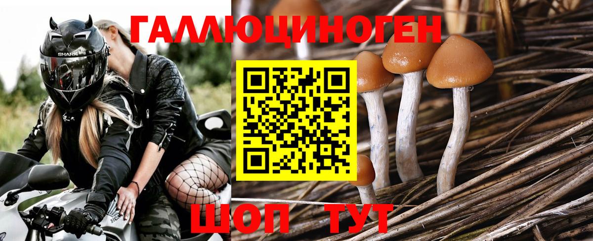 Псилоцибиновые грибы мухоморы Рязань