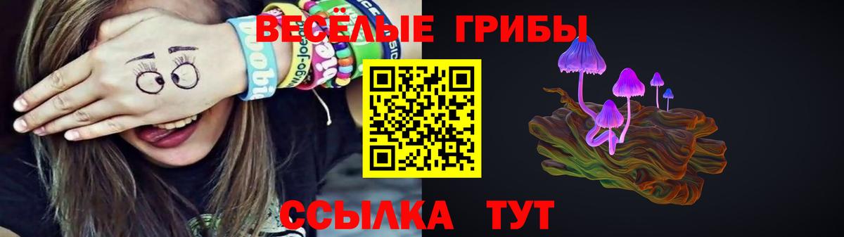 Рязань  Псилоцибиновые грибы Psilocybe  купить наркотик  Вход с VPN 